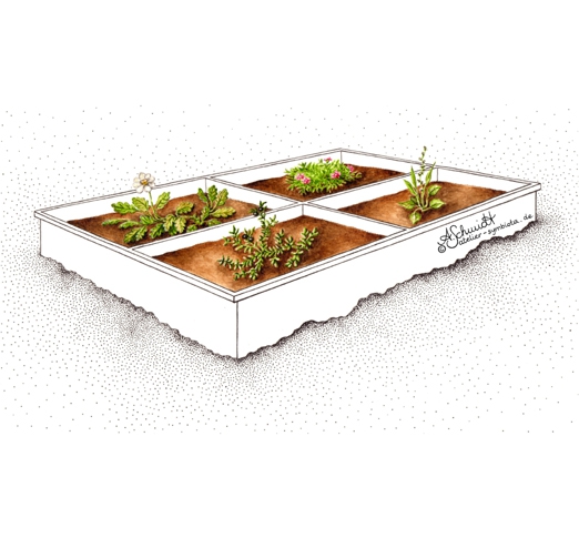 Pflanzkasten
